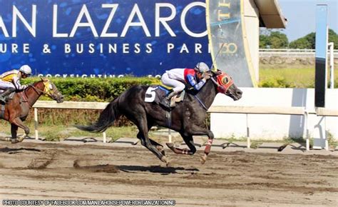 hapi jockey club inc|HAPI Jockey Club.